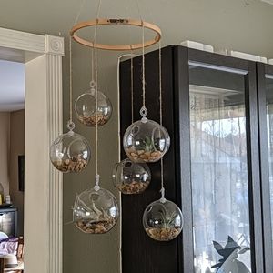 Air Plant Chandelier